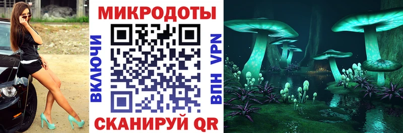 Купить где  Новосиль  Галлюциногенные грибы Psilocybe 